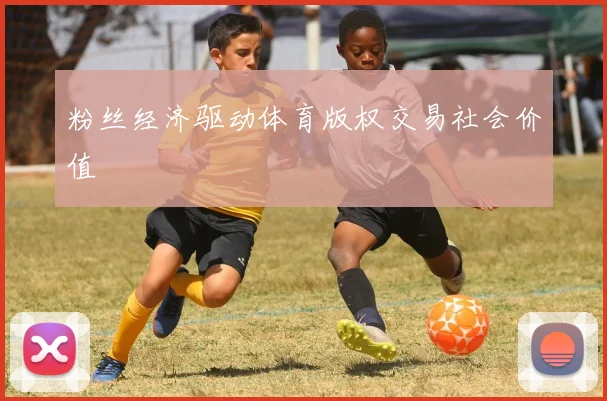 粉丝经济驱动体育版权交易社会价值