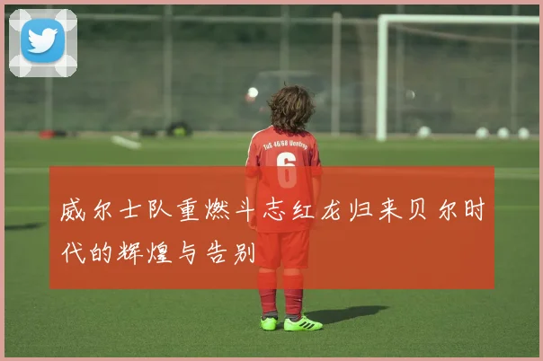 威尔士队重燃斗志红龙归来贝尔时代的辉煌与告别