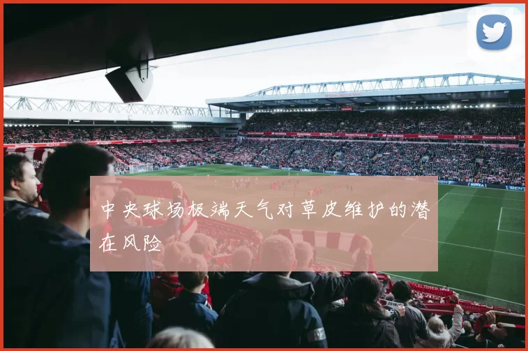 中央球场极端天气对草皮维护的潜在风险